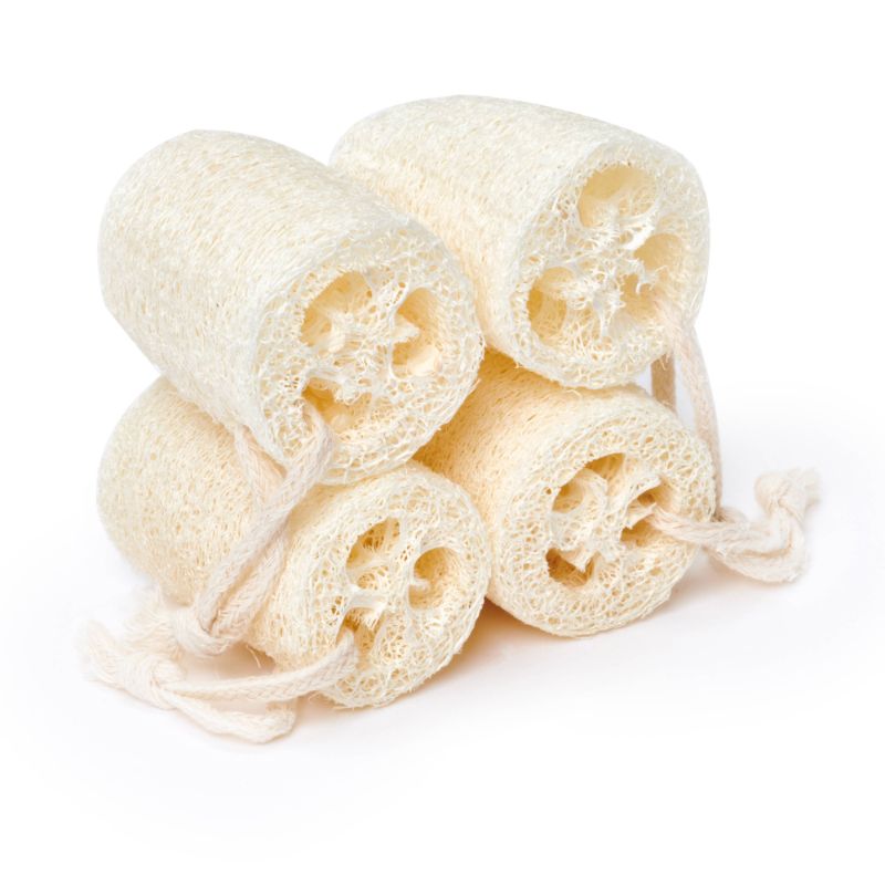 Natural Loofah Exfoliating Slice