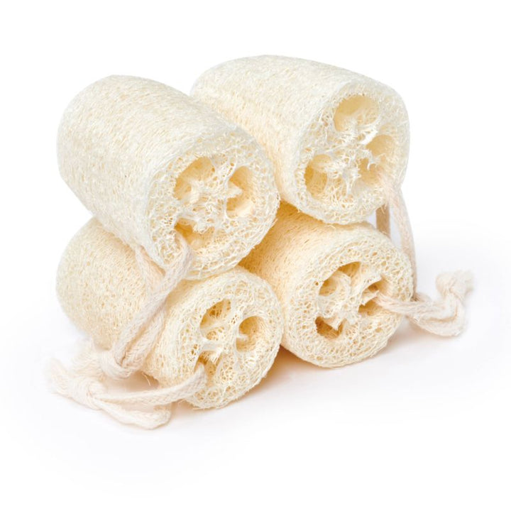 Natural Loofah Exfoliating Slice