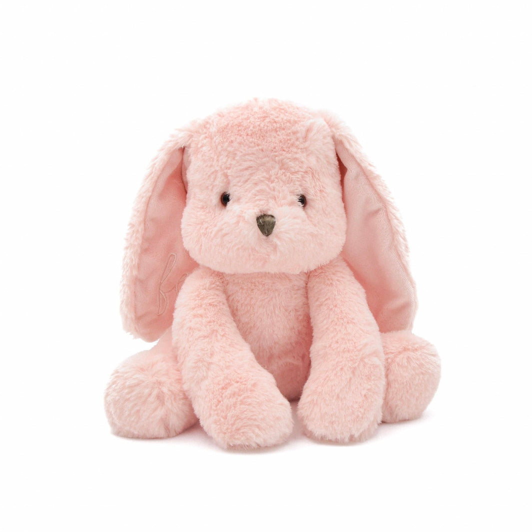 Front view of Ruby plushie dog toy showing hand-stitched face and floppy crinkle ears.