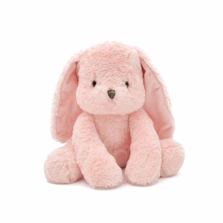 Front view of Ruby plushie dog toy showing hand-stitched face and floppy crinkle ears.