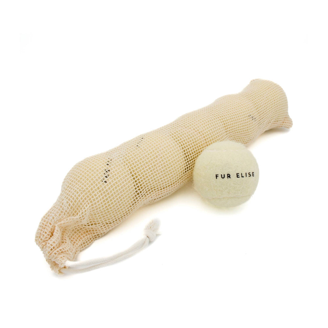 Set of 5 bone-colored tennis balls for dogs in mesh pouch.