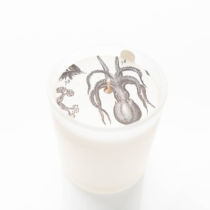 Sea Salt & Lavender Glass Candle